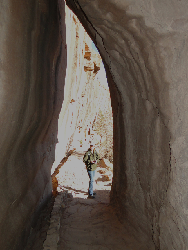 Trail to the White House Ruins