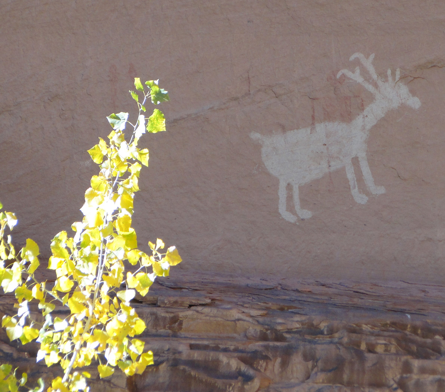 Antelope House Ruins Petroglyphs