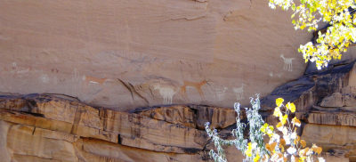 Antelope House Ruins Petroglyphs