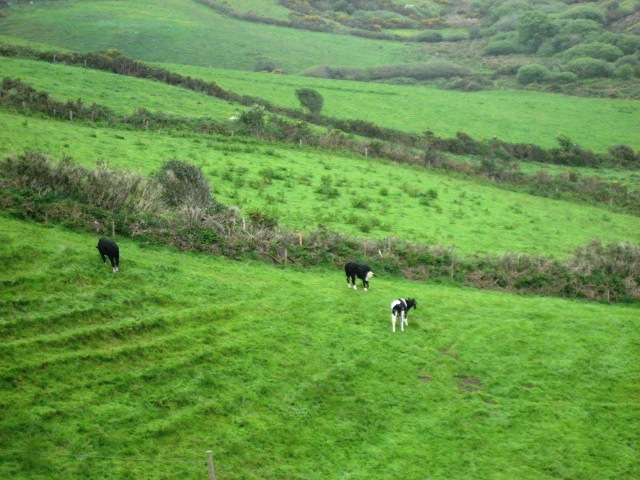 Dingle Peninsula