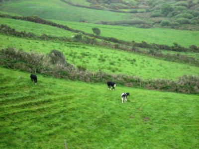 Dingle Peninsula