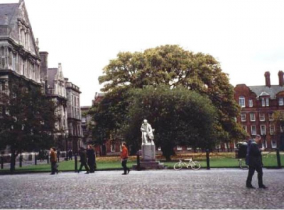 Trinity College