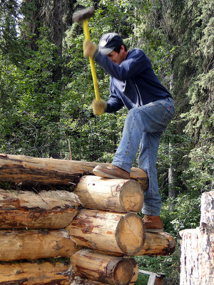 Building a real log cabin from scratch