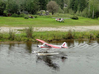 Bush pilot