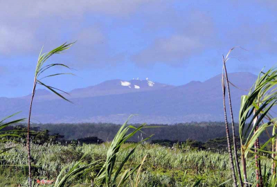 View of Mauna Kea