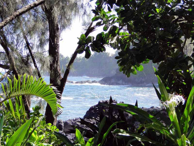 Hamakua Coast