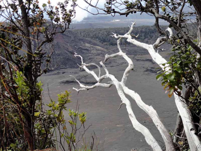 Kilauea Iki Crater