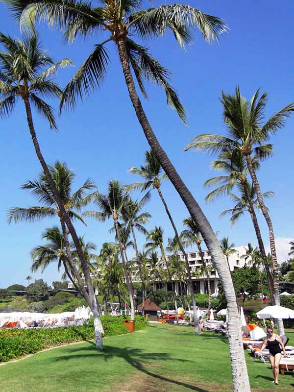 Mauna Kea Resort