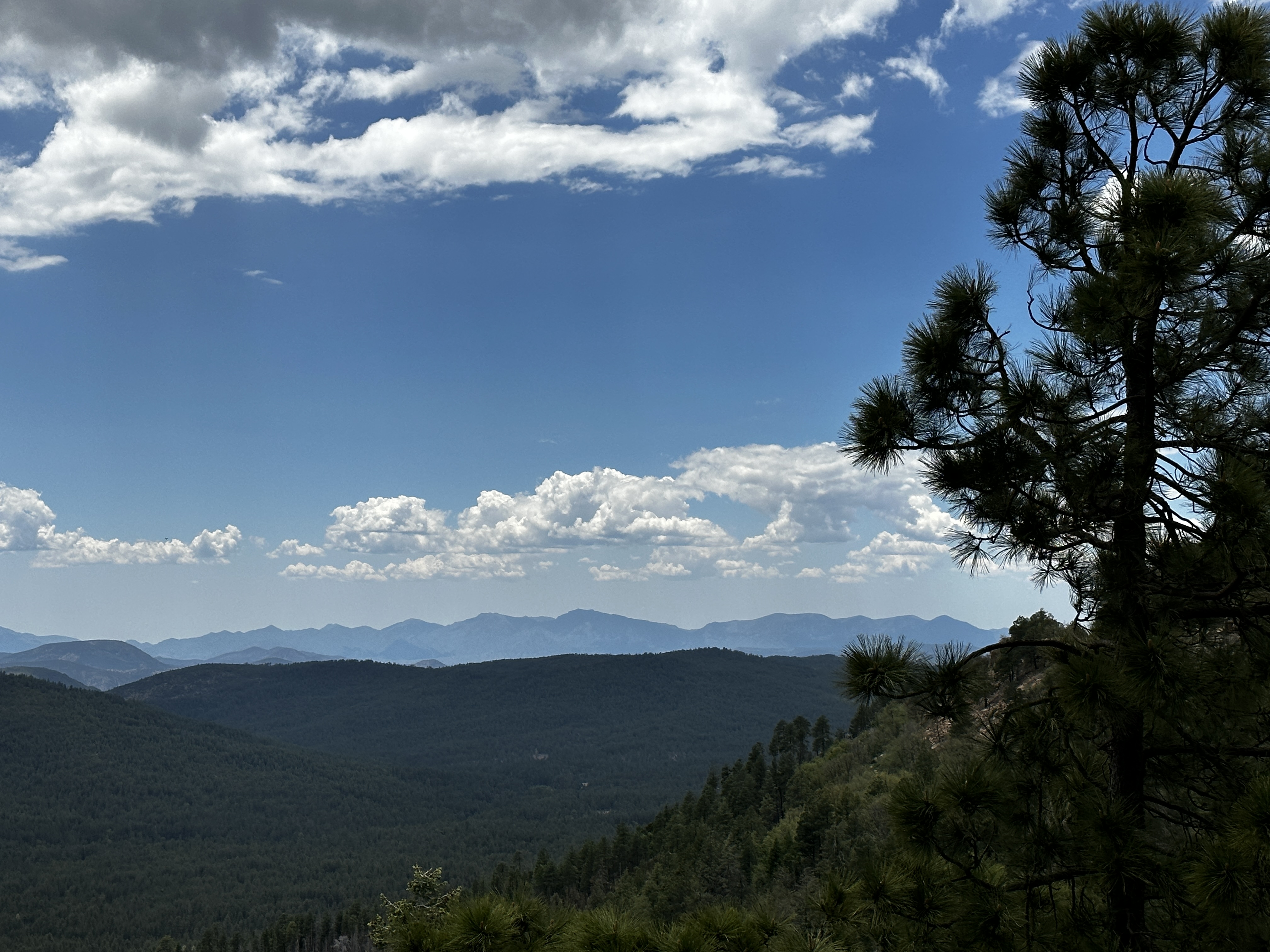 Mogollon Rim