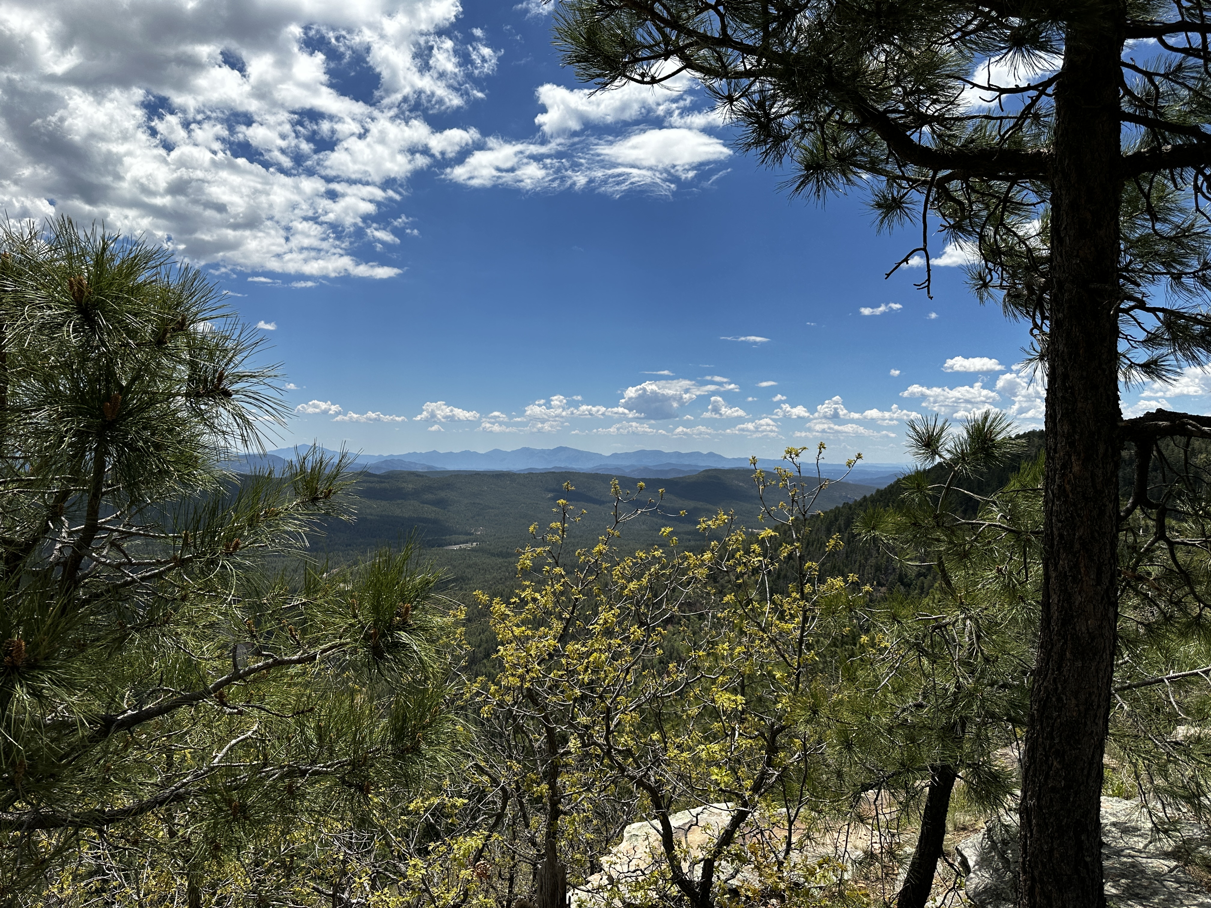 Mogollon Rim