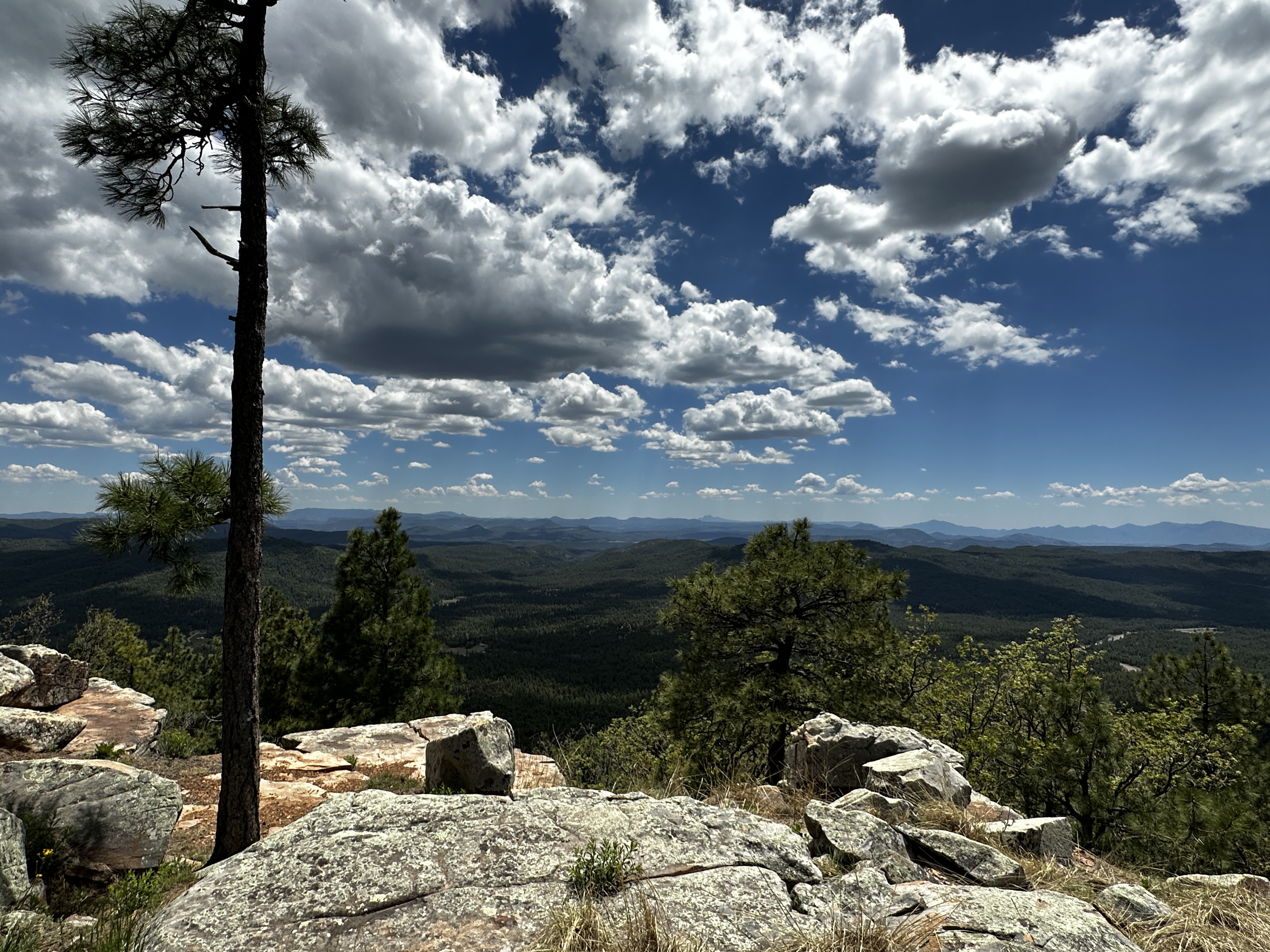 Mogollon Rim