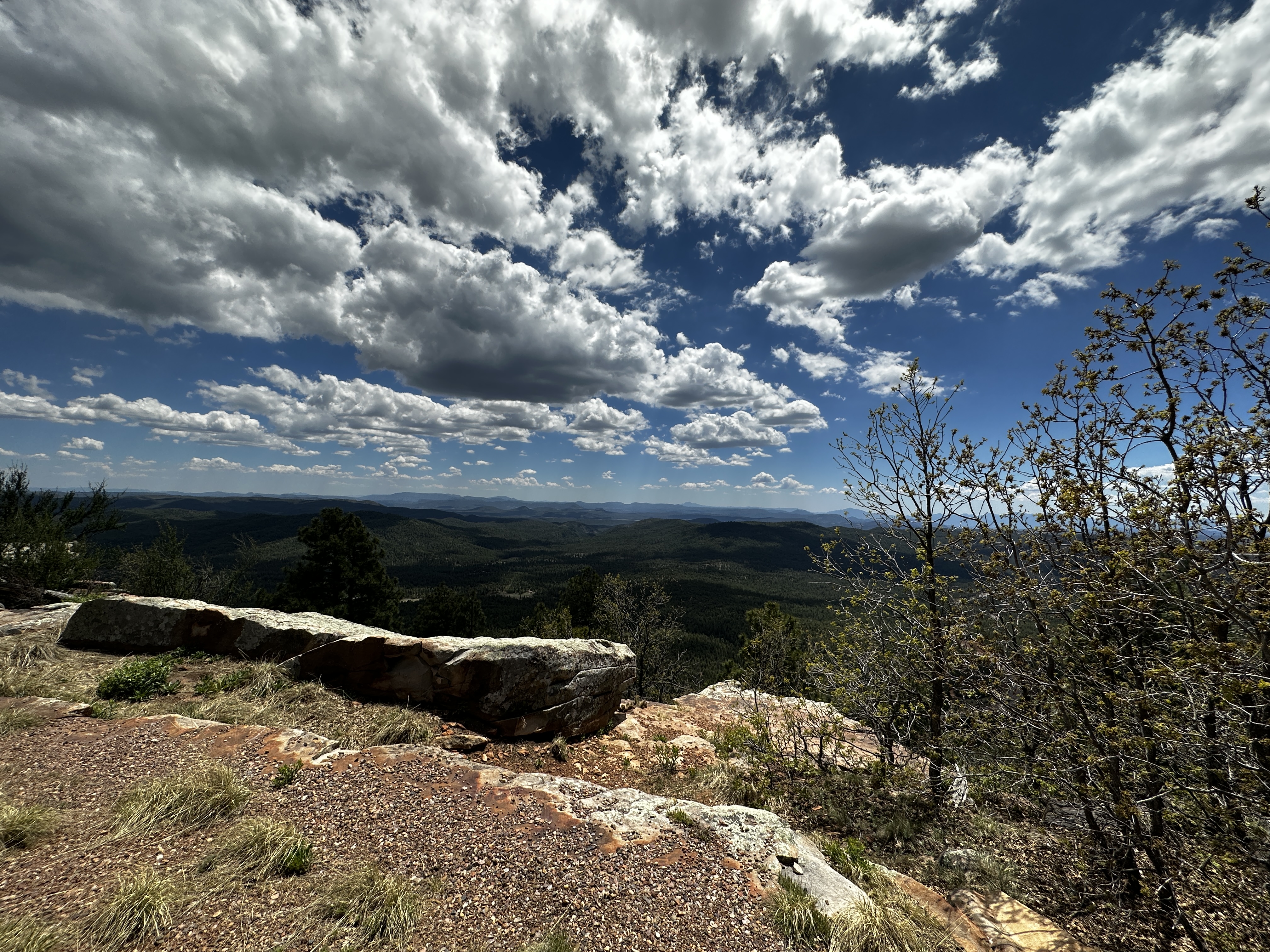 Mogollon Rim