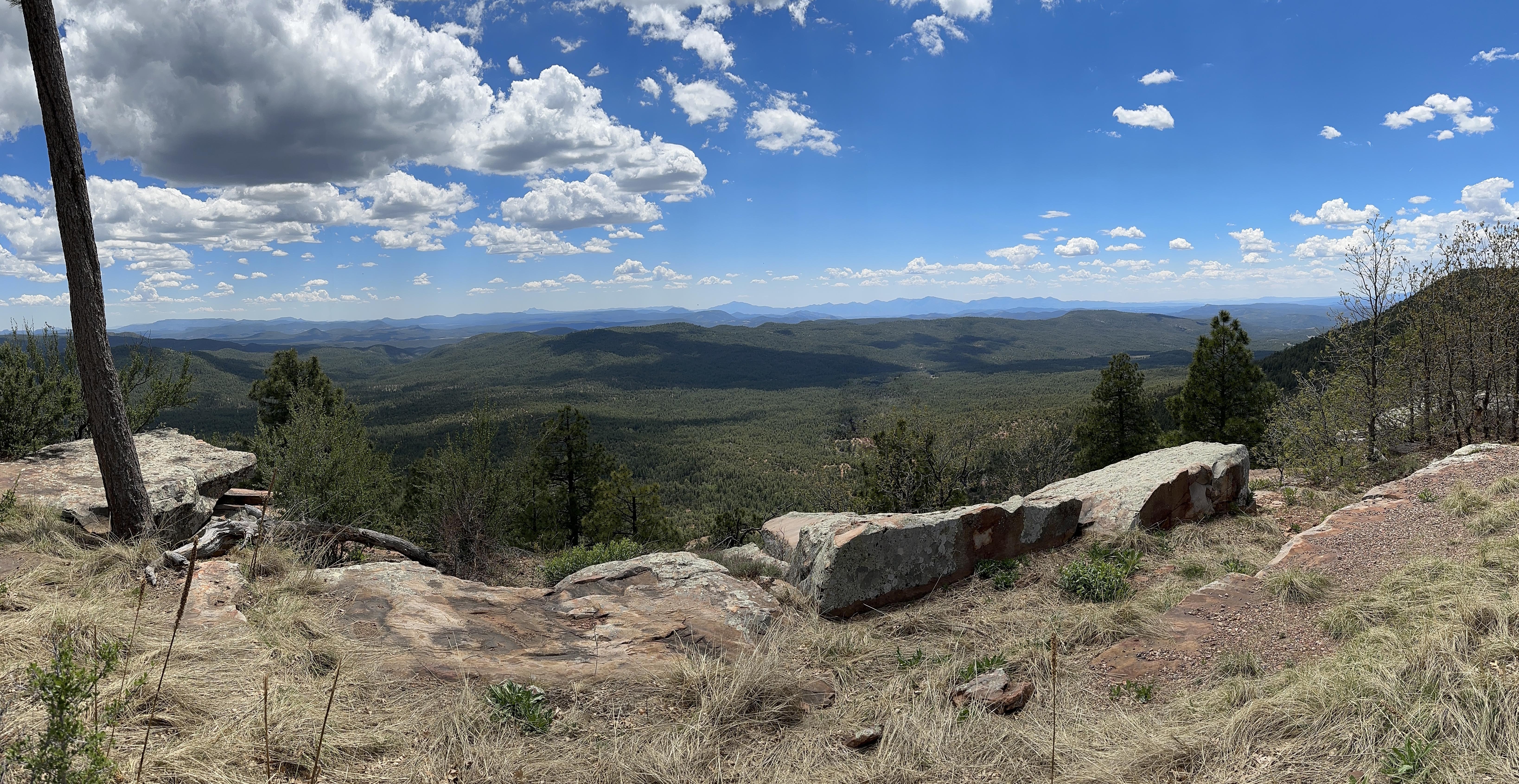 Mogollon Rim