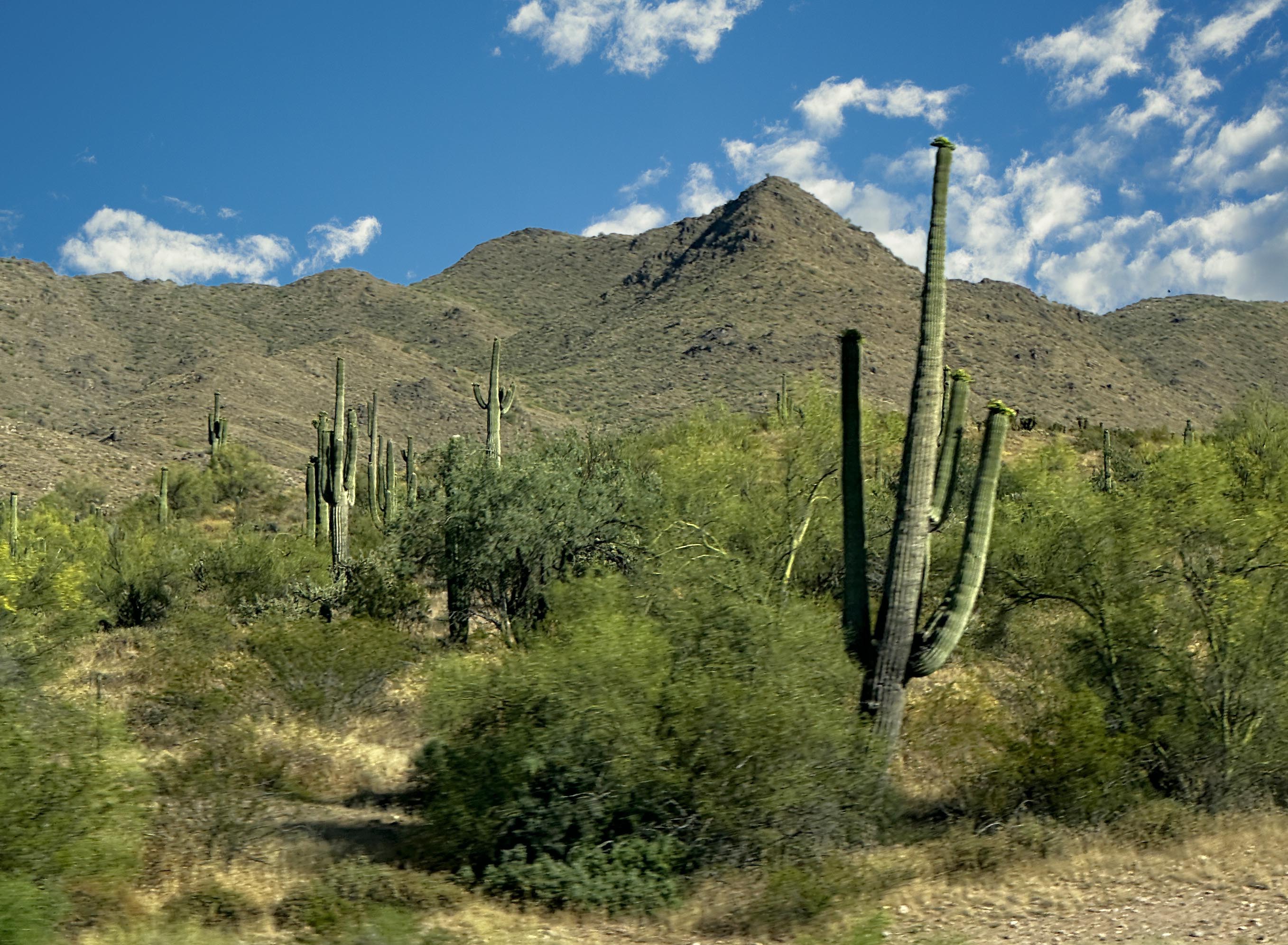 Scenery Along The Way