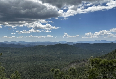 Mogollon Rim