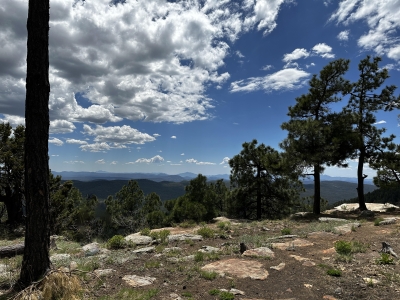 Mogollon Rim