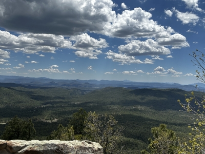 Mogollon Rim