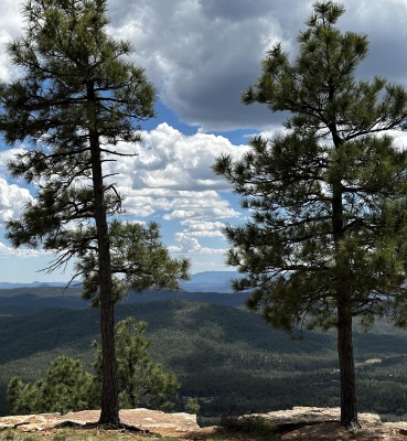 Mogollon Rim