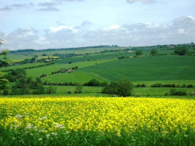 Country Scenery on the Way to Oxford