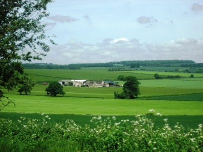 Country Scenery on the Way to Oxford