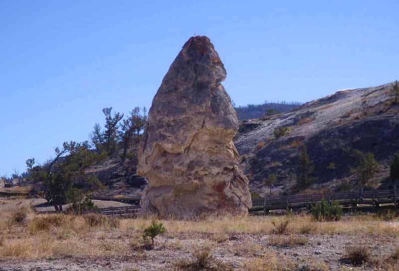 Liberty Cap