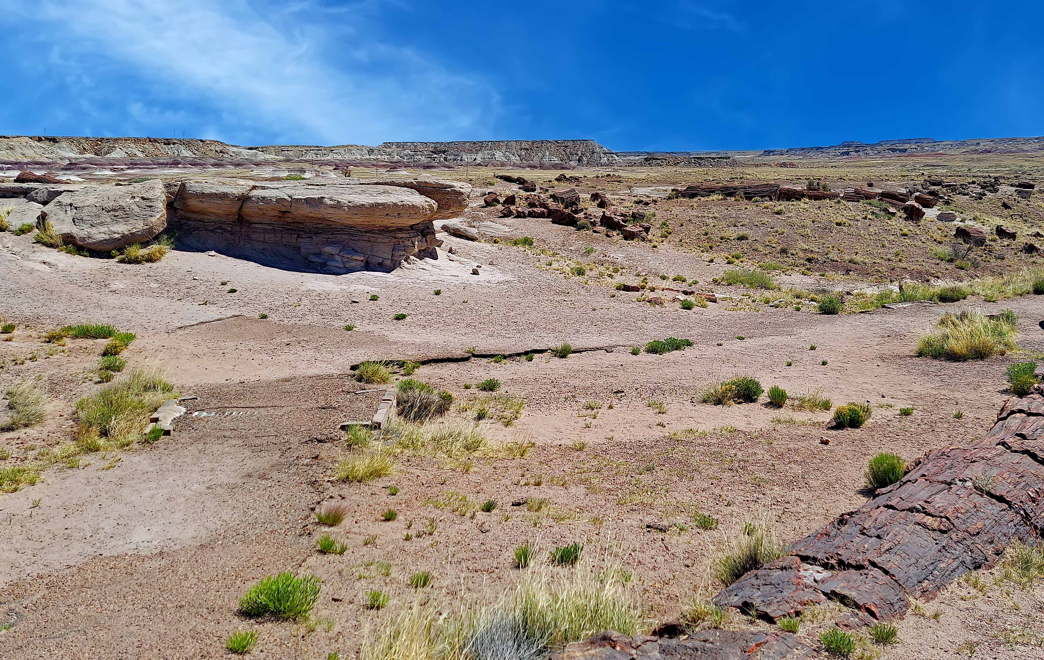 Painted Desert