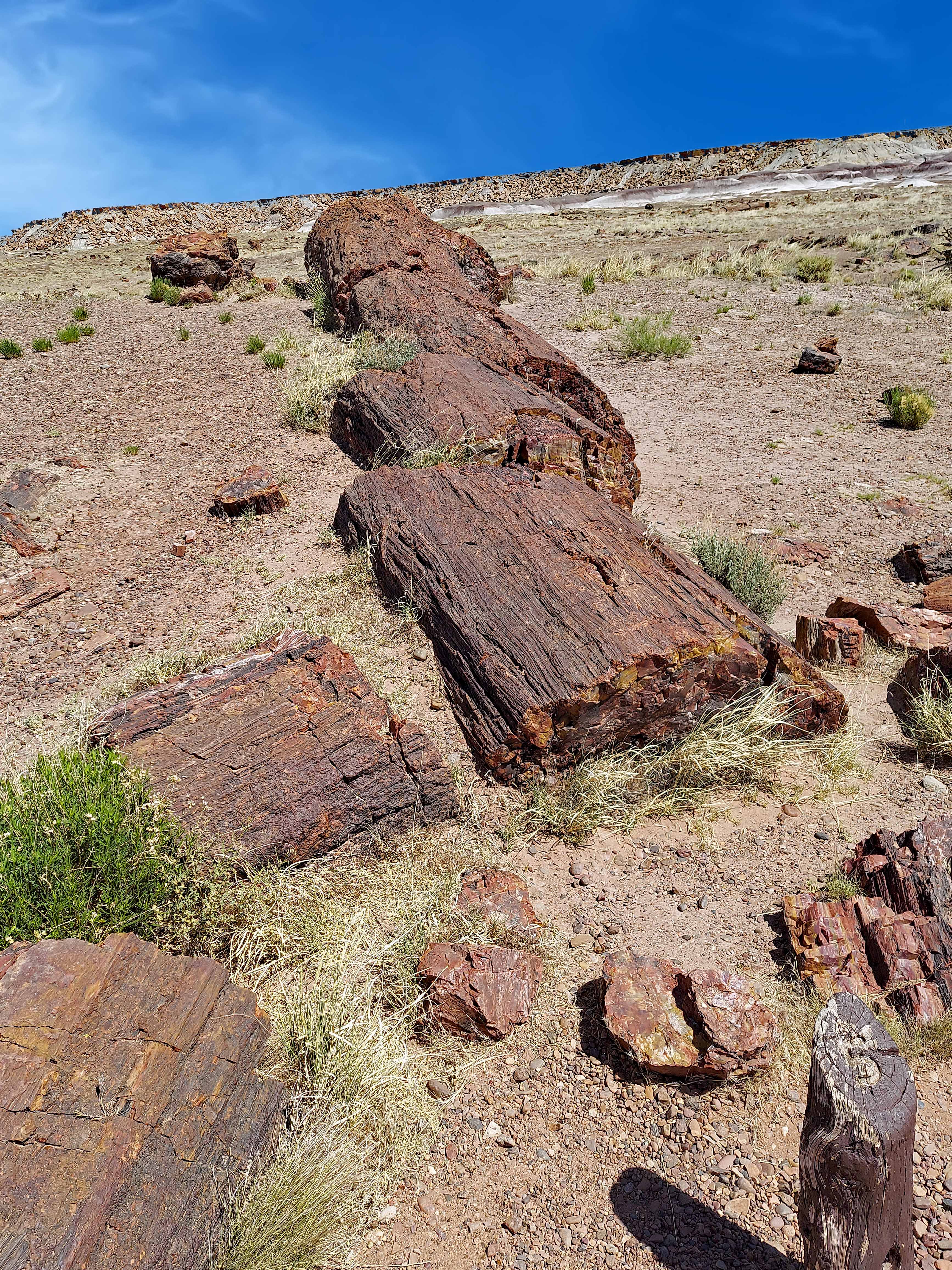 Painted Desert