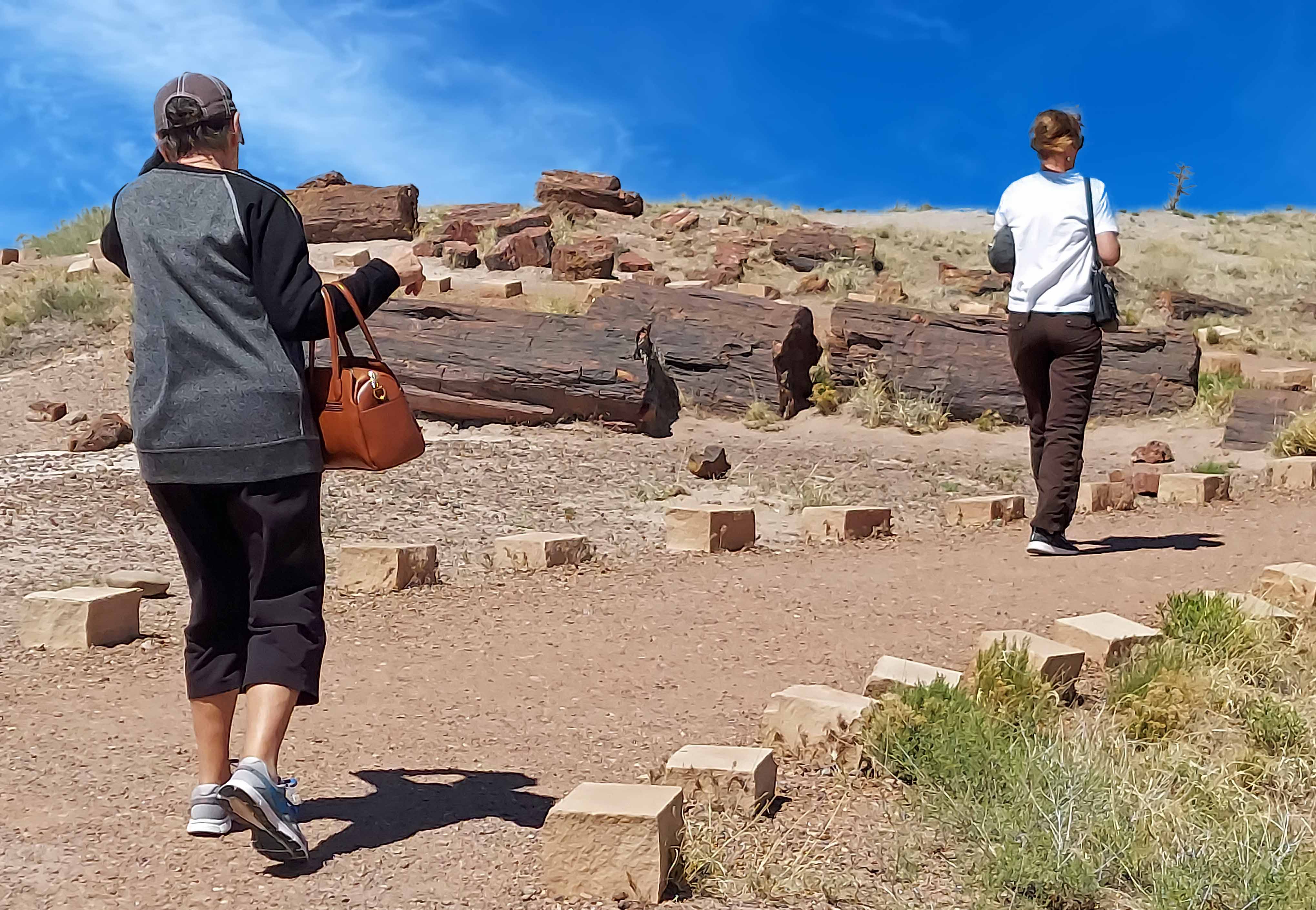 Painted Desert