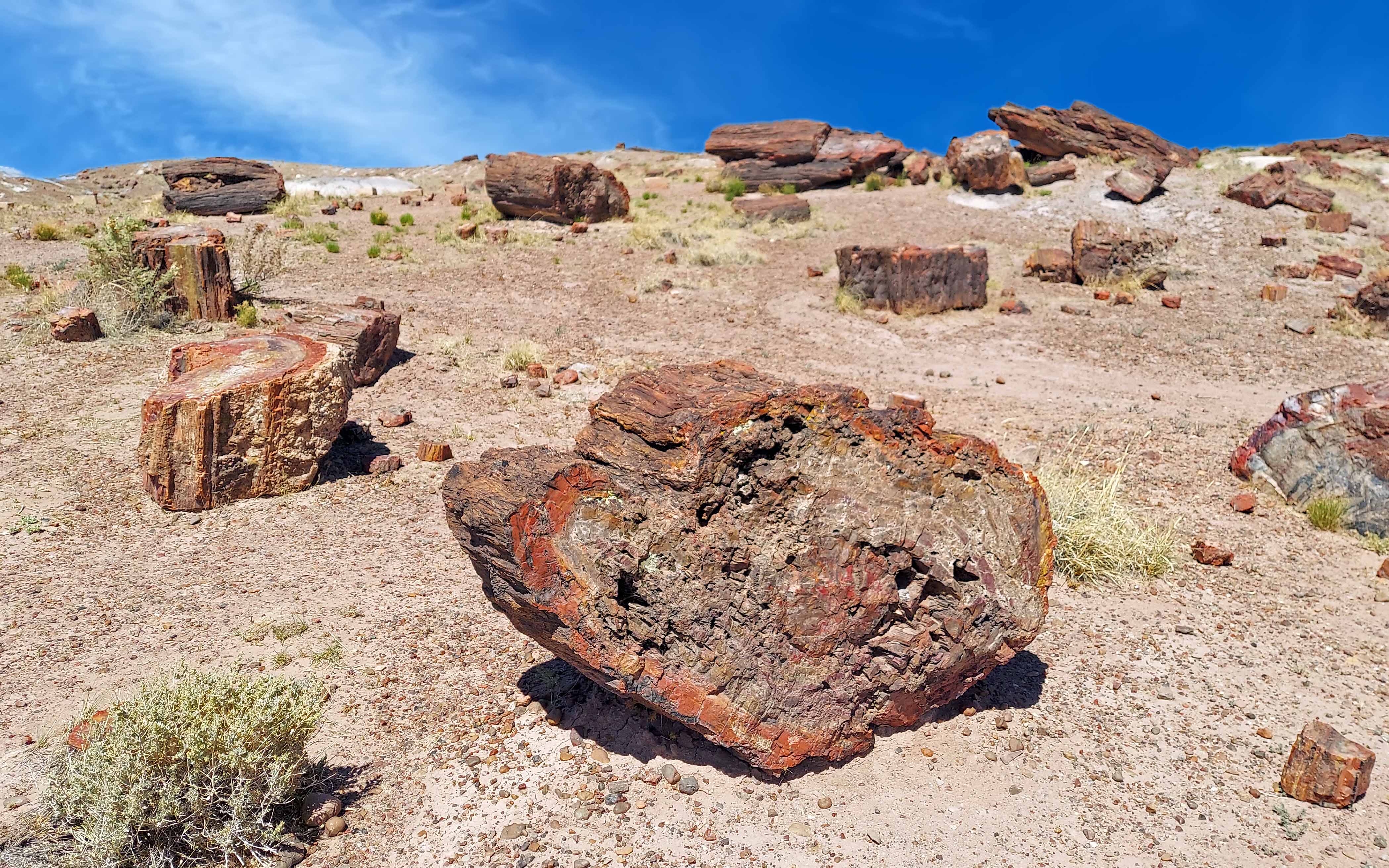 Painted Desert