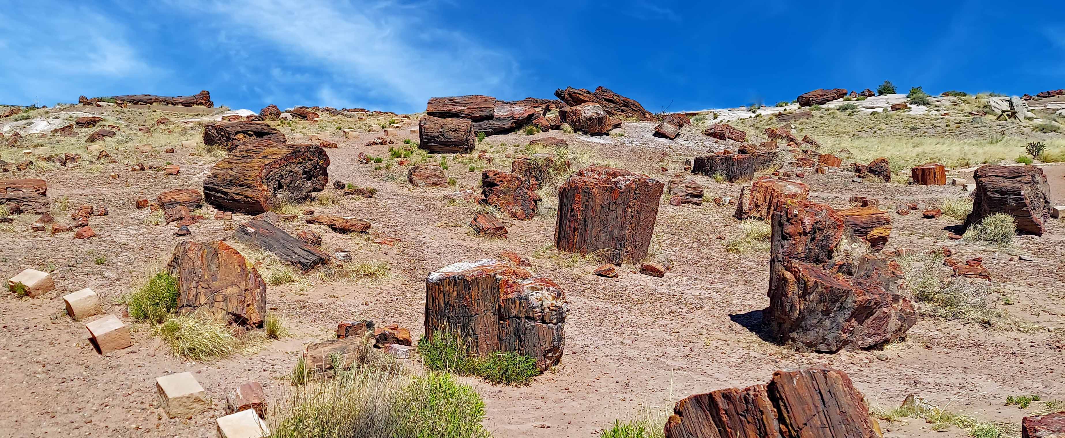 Painted Desert