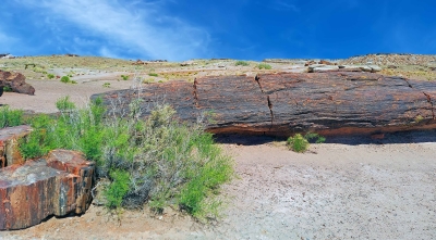 Painted Desert