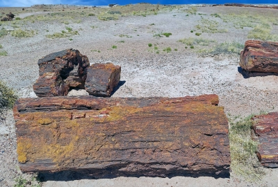 Painted Desert