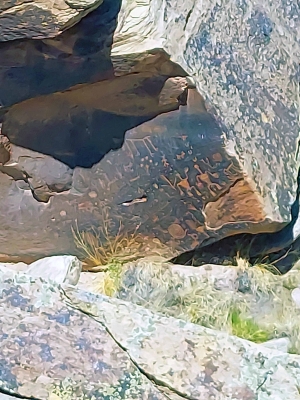 Newspaper Rock - Petroglyphs