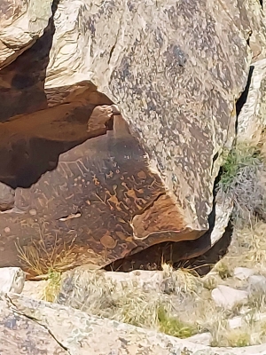 Newspaper Rock - Petroglyphs