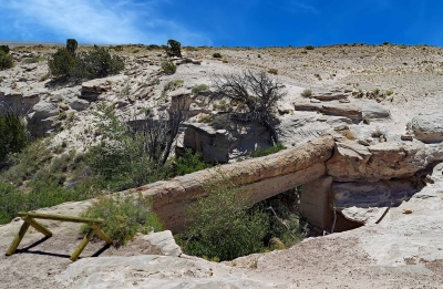 Agate Bridge - 110 ft petrified log spanning a gully.Agate Bridge