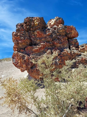 Painted Desert