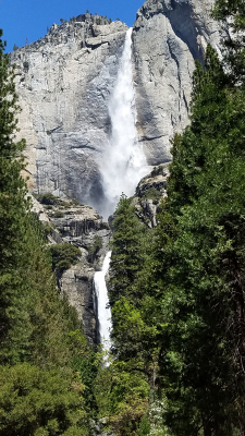 Upper & Lower Yosemite Falls