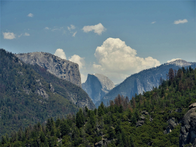 View Of Half Dome From The Valley