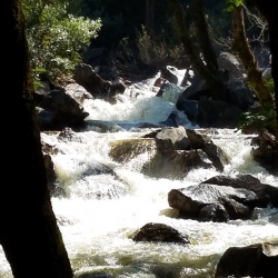 Bridalveil Falls Runoff To The Merced River