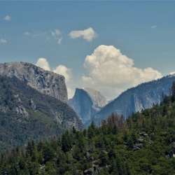 View Of Half Dome From The Valley