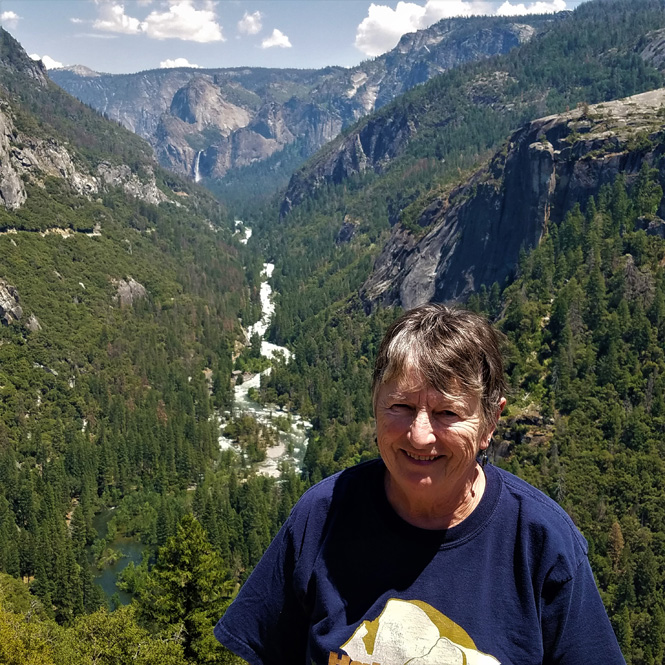 View of Bridalveil Falls & Merced River